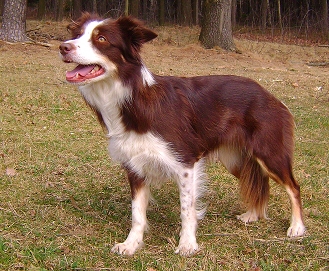 Amelie im M&auml;rz 2012